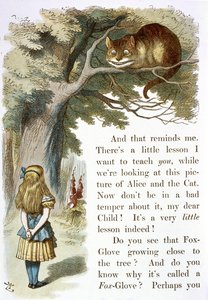 The Cheshire cat