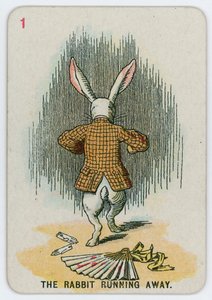 The Rabbit running away
