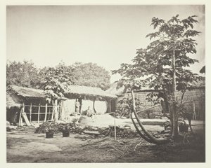 A Pepohoan Dwelling