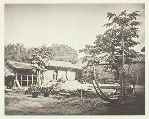 A Pepohoan Dwelling