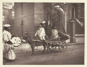 November Effigies, 1881