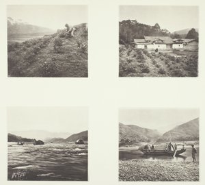The Tea Plant; Yenping Rapids; A Small Rapid Boat by John Thomson