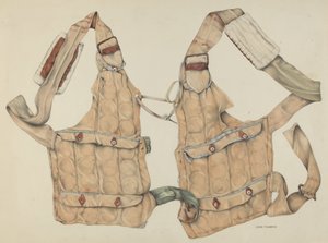 Money Vest