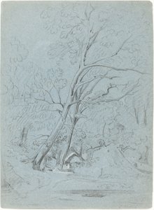 A Cottage on a Lane
