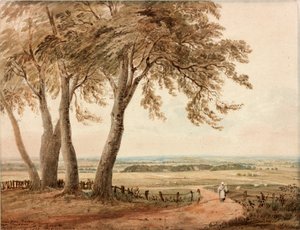 View from Polsden near Bookham in Surrey by John Varley