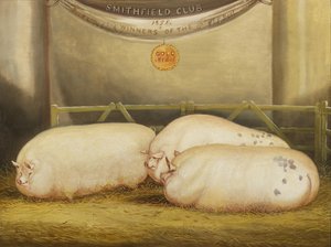 Three improved Leicesters in a pen at 1858 Smithfield Club Christmas Show, 1858