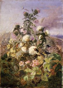 A Goldfinch and a Butterfly amongst Thistles and Blackberry Blossom by John Wainwright