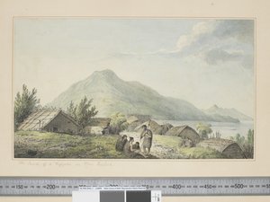 The Inside of a Hippah, in New Zealand