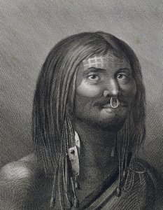 Polynesian man from Nootka Sound, illustration by John Webber made during third voyage of James Cook