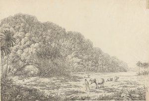 View in the Island of Pulo Condore by John Webber