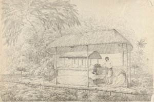 Waheiadooa, Chief of Oheitepha, Lying in State