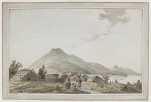 View of the Hippah, or Fortified Village, at the South-West Point of Motuara in Queen Charlotte Sound