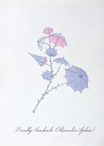 Deadly Sunshade, Illustration from 