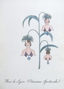 Fleur de Lysia (Parisiana Spectacula), Illustration from 