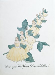 Red-Eyed Wallflower (Late Subdebbia), Illustration from 