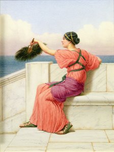 A Classical Beauty by Sea