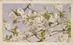 Apple Blossoms, c.1874 by John William Hill