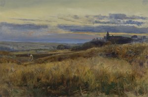 Cornfield at Sunset