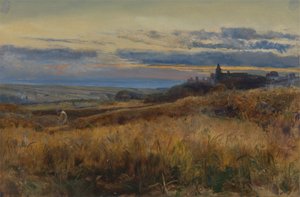 Cornfield at Sunset
