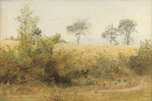 The Bat Begins with Giddy Wing - Barley Field Over the Hedge by John William North