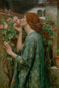 The Soul of the Rose