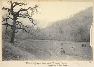 Razavi Khorasan Province, Iran, c.1908 (b/w photo)