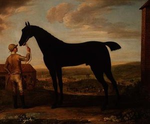 "Basto", Dark Bay Racehorse Held by Groom Outside the Stable at Newmarket by John Wootton