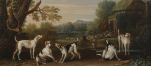 Releasing the Hounds, c.1765 by John Wootton