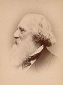 John Frederick Lewis by John and Charles Watkins