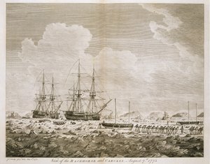 A View of the 