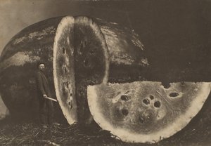 Man Cutting Watermelon by Johnson
