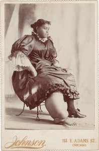 Portrait of a Woman, c. 1890 by Johnson
