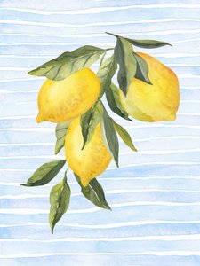 Sunny Citrus On Blue by Jolly and Dash