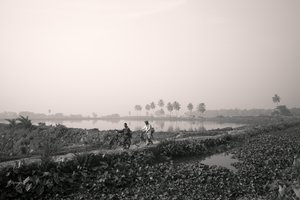 Wetland Fishing in Kolkata, 2016