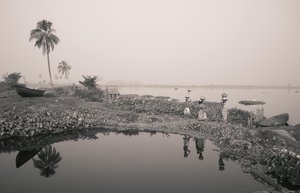 Wetland Fishing in Kolkata, 2016