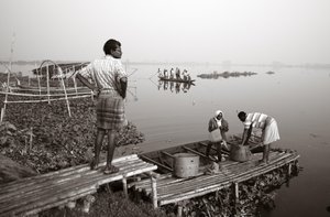 Wetland fishing in Kolkata, 2016