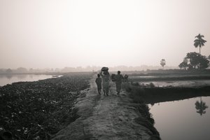 Wetland fishing in Kolkata, 2016