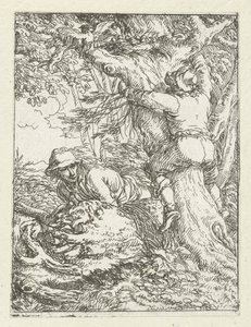 The Nest Robber