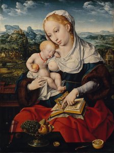 Virgin and Child by Joos van Cleve
