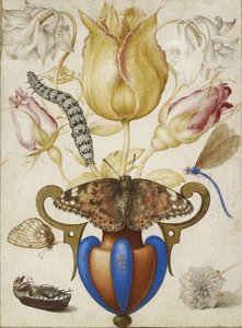 Arrangement of Flowers in a Vase, with Insects, 1594