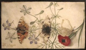 Studies of Flowers and Butterflies by Joris Hoefnagel