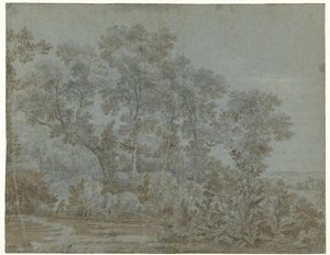 The Wildbaan near Arnhem