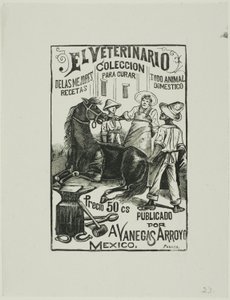 The Veterinarian