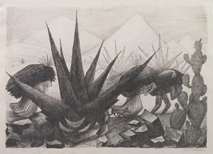 Indians and Magney Plants