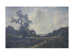 The Road Over the Common by Jose Weiss