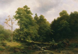 The Quiet Forest Corner