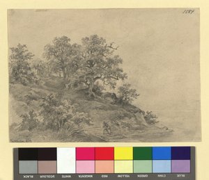 Wooded Hill with Farmhouse