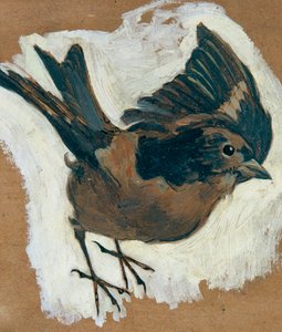 Sparrow