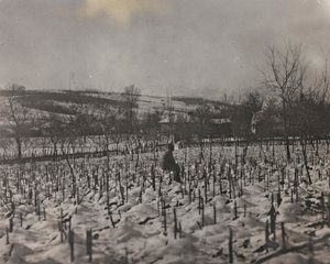 Military cemetery (b/w photo) by Josef Zohles
