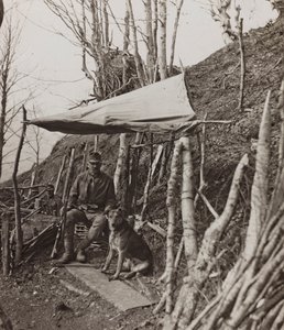 Album "Meine weltkriegs - Erinnerungen South-West Front (Carinthia, Italy, South Tyrol) 31/03/1915-12/11/1918 - Josef Zohles Wien": military dog under a tent by Josef Zohles